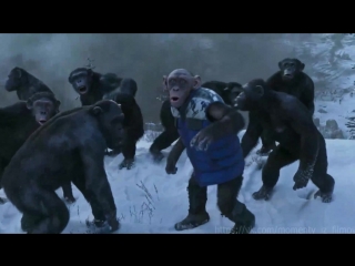 planet of the apes: war (war for the planet of the apes)