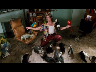 ace ventura: pet detective